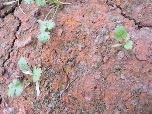 微信圖片_20210812191501.jpg 微信圖片_20210812191501.jpg