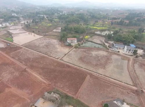 微信圖片_20211029124548.jpg 微信圖片_20211029124548.jpg