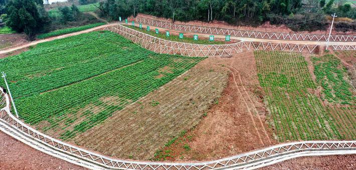 微信圖片_20211029124548.jpg 微信圖片_20211029124548.jpg