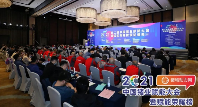 正康生?Plus榮獲“2021年度匠心飼料添加劑”！