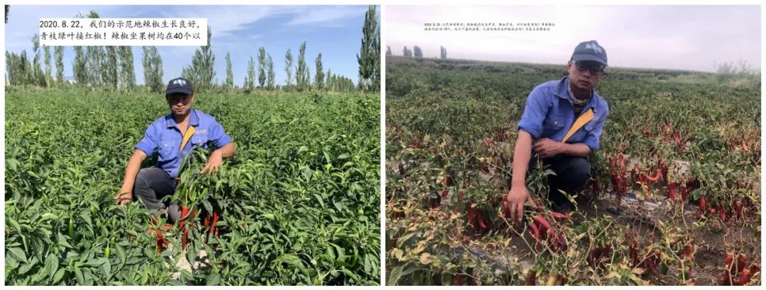 2022012716432546385088804.jpg 2022012716432546385088804.jpg