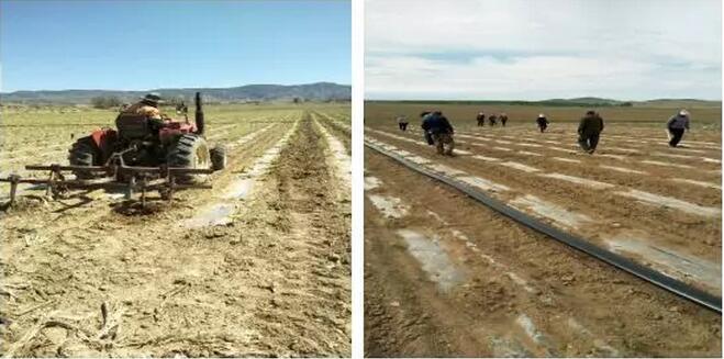 微信圖片_20221107215922.jpg 微信圖片_20221107215922.jpg