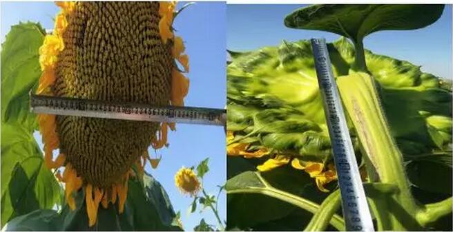 微信圖片_20221107215922.jpg 微信圖片_20221107215922.jpg