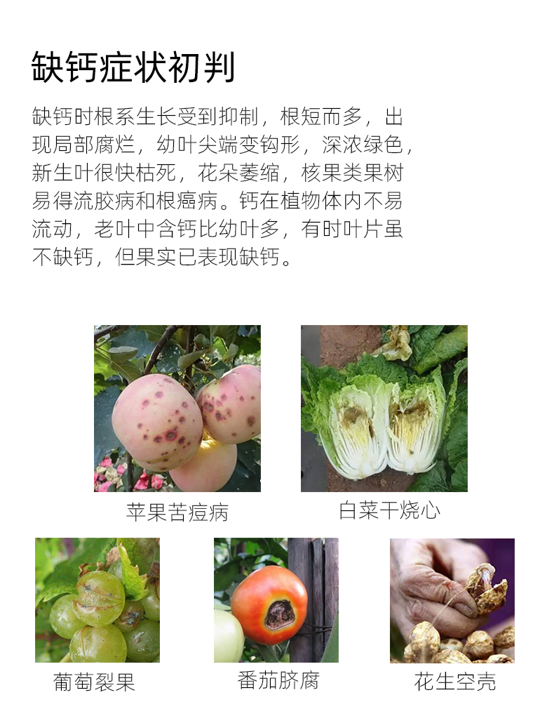 缺鈣.png 缺鈣.png