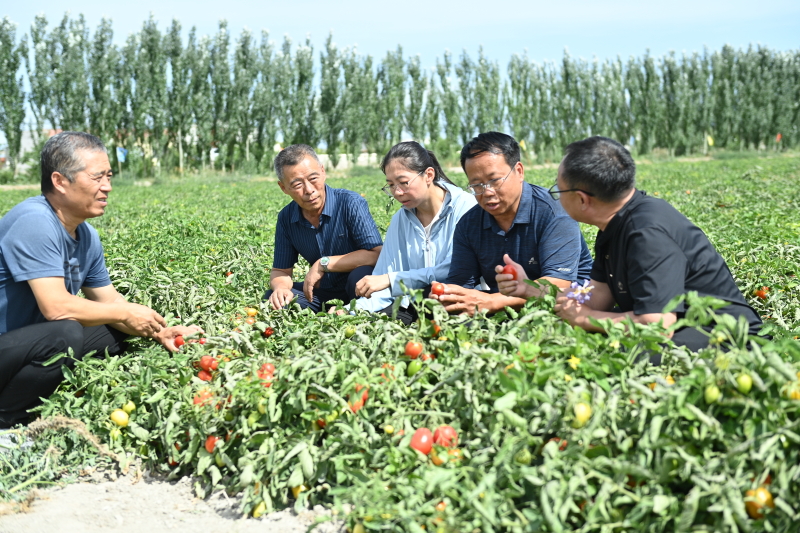 W020240712626846133292_800.jpeg W020240712626846133292_800.jpeg