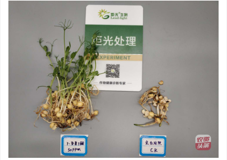 微信圖片_20250510203623.png 微信圖片_20250510203623.png