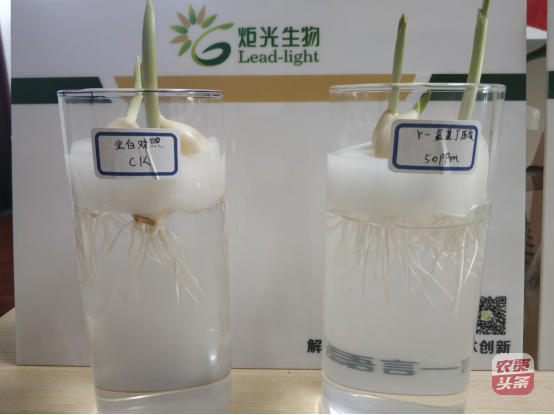 media_1578474542127.png media_1578474542127.png