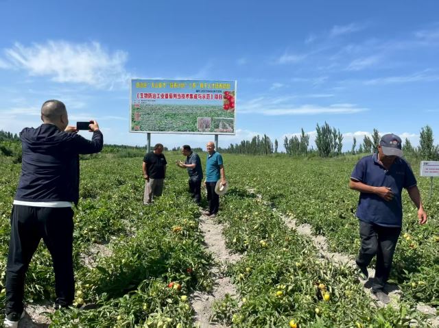 202507151619363856.jpg 202507151619363856.jpg